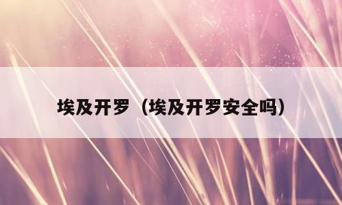 埃及开罗（埃及开罗安全吗）