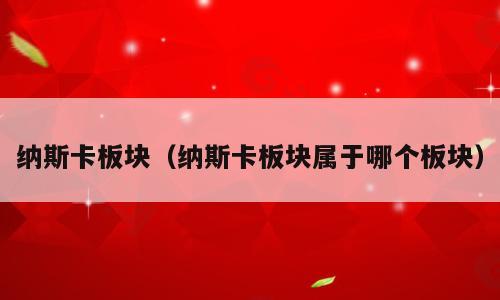 纳斯卡板块（纳斯卡板块属于哪个板块）