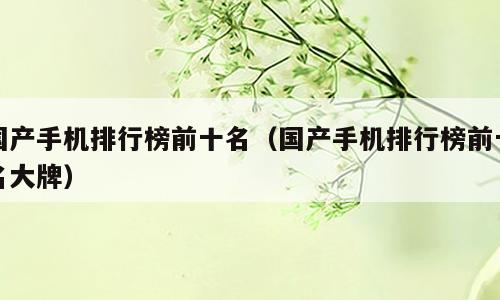 国产手机排行榜前十名（国产手机排行榜前十名大牌）