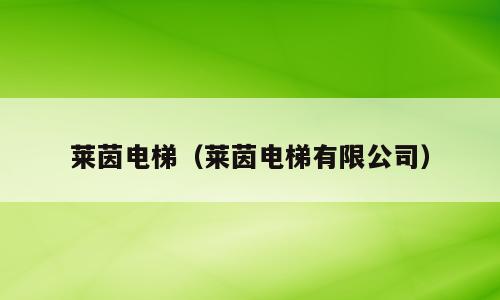 莱茵电梯（莱茵电梯有限公司）