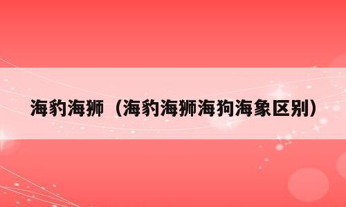 海豹海狮（海豹海狮海狗海象区别）