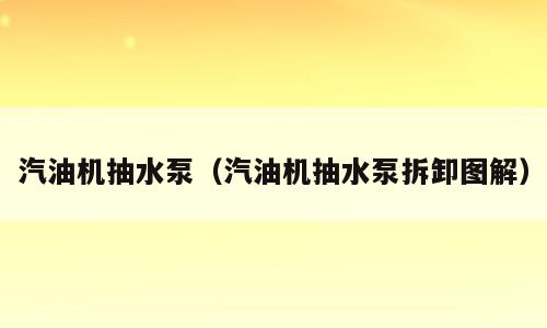 汽油机抽水泵（汽油机抽水泵拆卸图解）