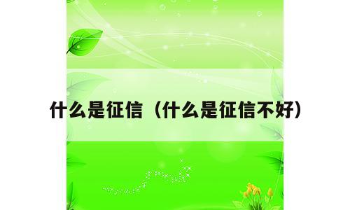 什么是征信（什么是征信不好）
