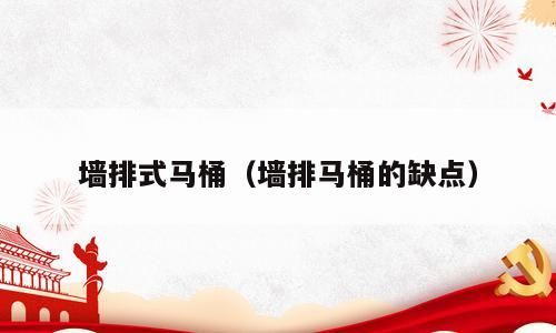 墙排式马桶（墙排马桶的缺点）