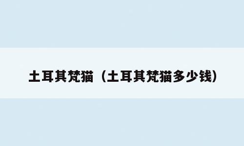 土耳其梵猫（土耳其梵猫多少钱）