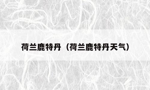 荷兰鹿特丹（荷兰鹿特丹天气）