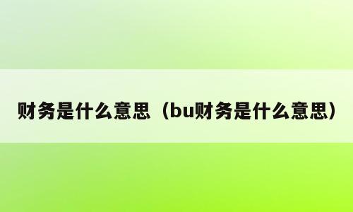 财务是什么意思（bu财务是什么意思）