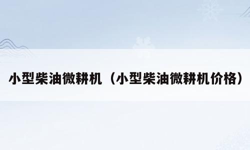 小型柴油微耕机（小型柴油微耕机价格）