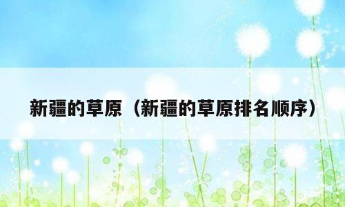 新疆的草原（新疆的草原排名顺序）
