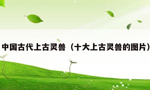 中国古代上古灵兽（十大上古灵兽的图片）