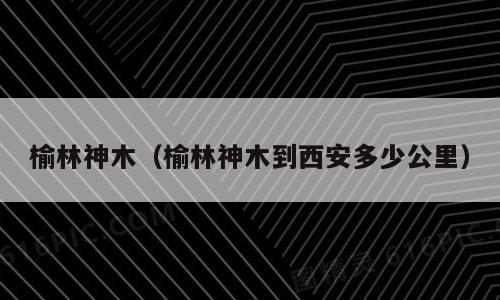 榆林神木（榆林神木到西安多少公里）