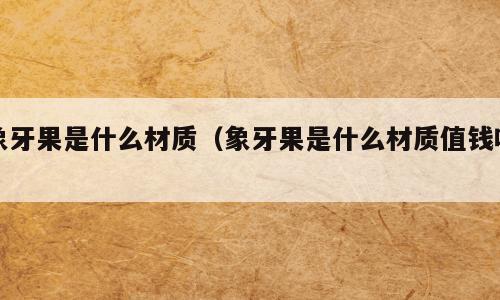 象牙果是什么材质（象牙果是什么材质值钱吗）