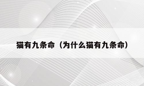 猫有九条命（为什么猫有九条命）