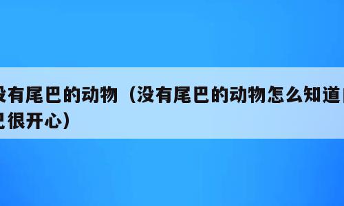 没有尾巴的动物（没有尾巴的动物怎么知道自己很开心）