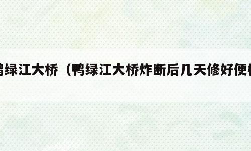 鸭绿江大桥（鸭绿江大桥炸断后几天修好便桥）