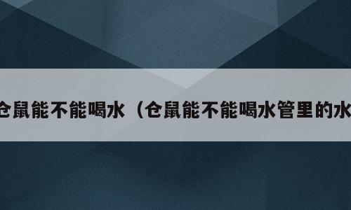 仓鼠能不能喝水（仓鼠能不能喝水管里的水）