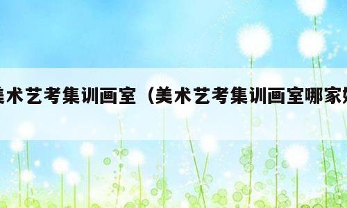 美术艺考集训画室（美术艺考集训画室哪家好）