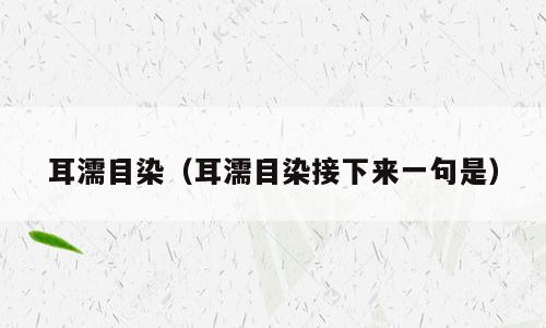 耳濡目染（耳濡目染接下来一句是）