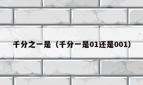 千分之一是（千分一是01还是001）