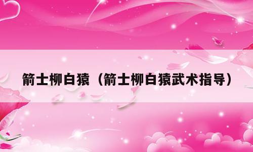 箭士柳白猿（箭士柳白猿武术指导）