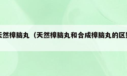 天然樟脑丸（天然樟脑丸和合成樟脑丸的区别）