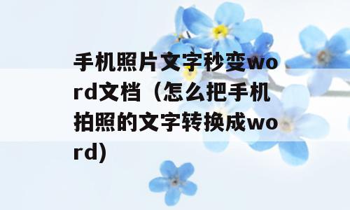 手机照片文字秒变word文档（怎么把手机拍照的文字转换成word)