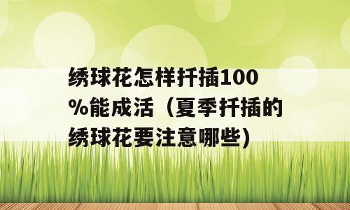 绣球花怎样扦插100%能成活（夏季扦插的绣球花要注意哪些)
