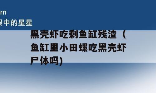 黑壳虾吃剩鱼缸残渣（鱼缸里小田螺吃黑壳虾尸体吗)
