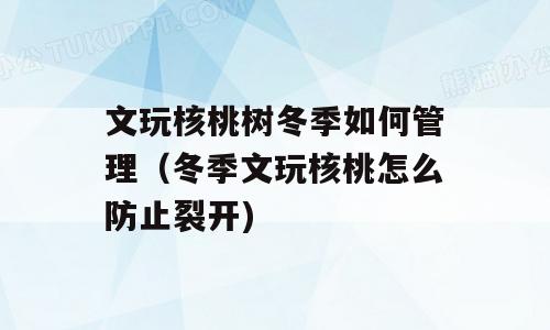 文玩核桃树冬季如何管理（冬季文玩核桃怎么防止裂开)