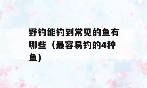 野钓能钓到常见的鱼有哪些（最容易钓的4种鱼)