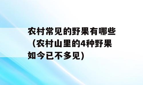 农村常见的野果有哪些（农村山里的4种野果如今已不多见)