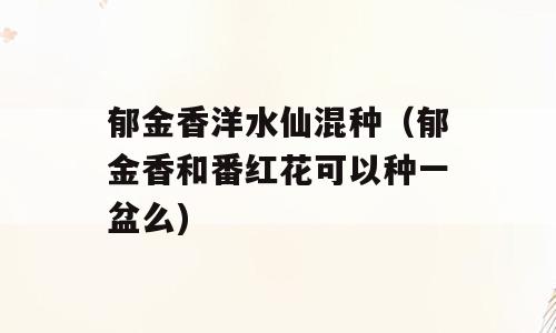 郁金香洋水仙混种（郁金香和番红花可以种一盆么)