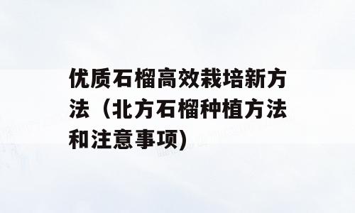 优质石榴高效栽培新方法（北方石榴种植方法和注意事项)