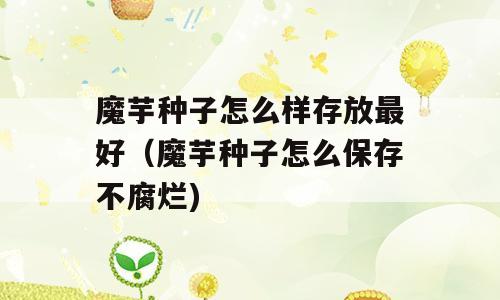 魔芋种子怎么样存放最好（魔芋种子怎么保存不腐烂)