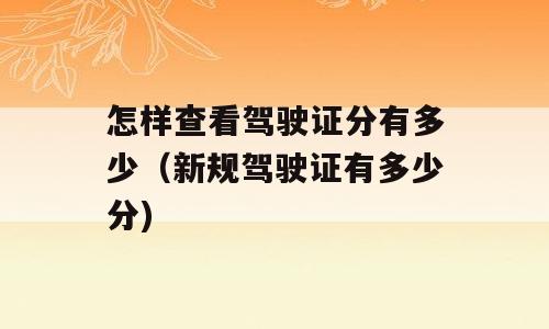 怎样查看驾驶证分有多少（新规驾驶证有多少分)
