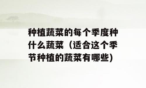 种植蔬菜的每个季度种什么蔬菜（适合这个季节种植的蔬菜有哪些)