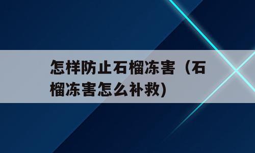 怎样防止石榴冻害（石榴冻害怎么补救)