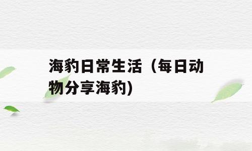 海豹日常生活（每日动物分享海豹)