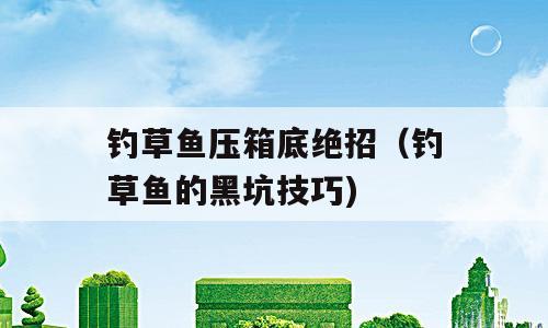 钓草鱼压箱底绝招（钓草鱼的黑坑技巧)