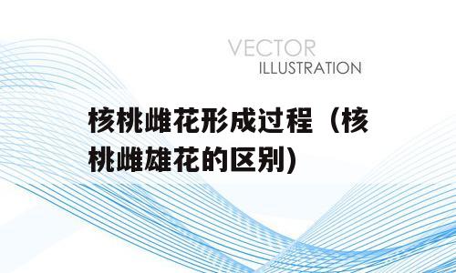 核桃雌花形成过程（核桃雌雄花的区别)