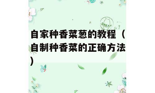 自家种香菜葱的教程（自制种香菜的正确方法)