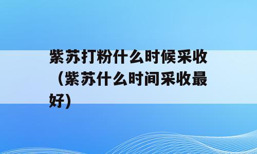 紫苏打粉什么时候采收（紫苏什么时间采收最好)