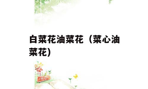 白菜花油菜花（菜心油菜花)