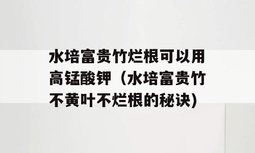 水培富贵竹烂根可以用高锰酸钾（水培富贵竹不黄叶不烂根的秘诀)