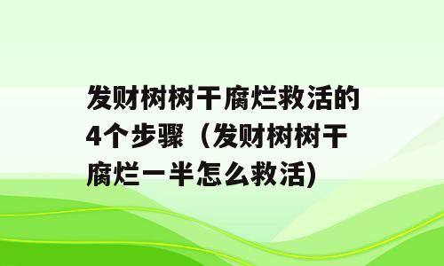 发财树树干腐烂救活的4个步骤（发财树树干腐烂一半怎么救活)