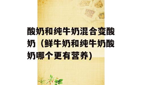 酸奶和纯牛奶混合变酸奶（鲜牛奶和纯牛奶酸奶哪个更有营养)