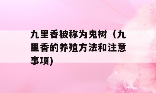 九里香被称为鬼树（九里香的养殖方法和注意事项)