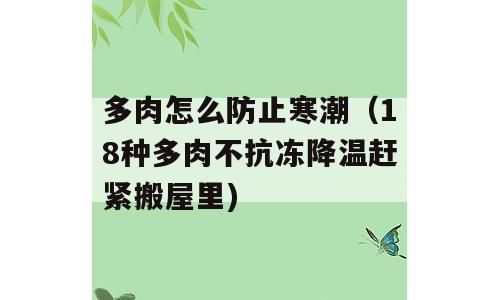 多肉怎么防止寒潮（18种多肉不抗冻降温赶紧搬屋里)