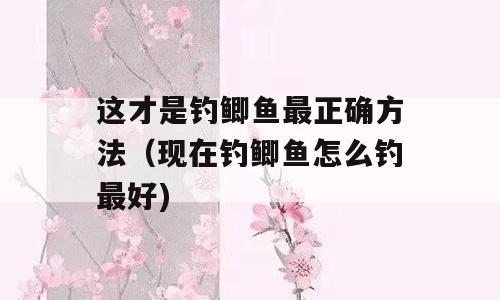 这才是钓鲫鱼最正确方法（现在钓鲫鱼怎么钓最好)
