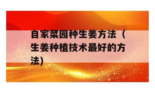 自家菜园种生姜方法（生姜种植技术最好的方法)